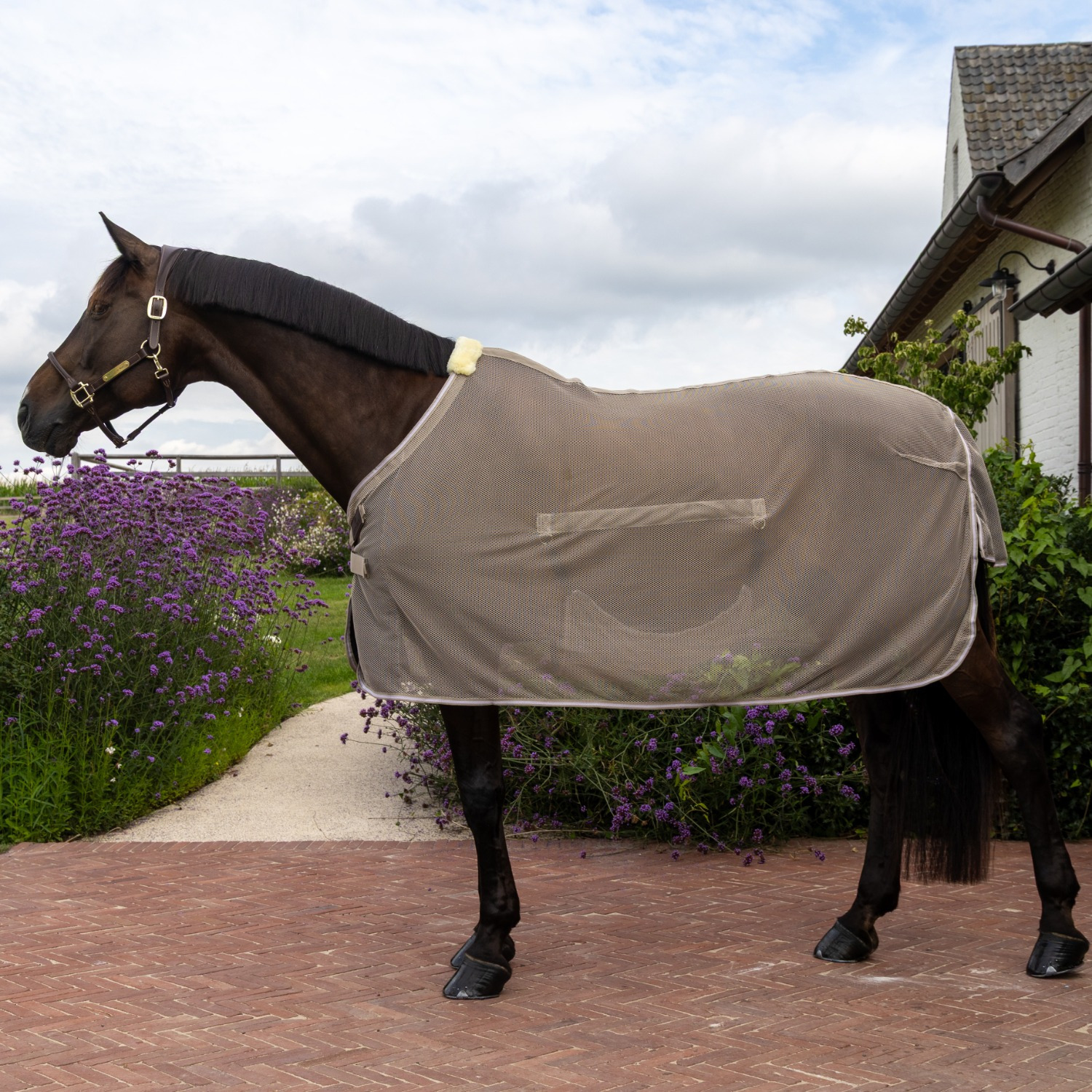 Kentucky Fliegendecke mit Bauchschutz Comfort