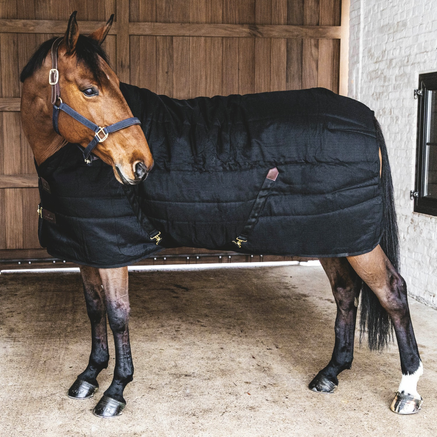 Kentucky Stalldecke Classic 200 g