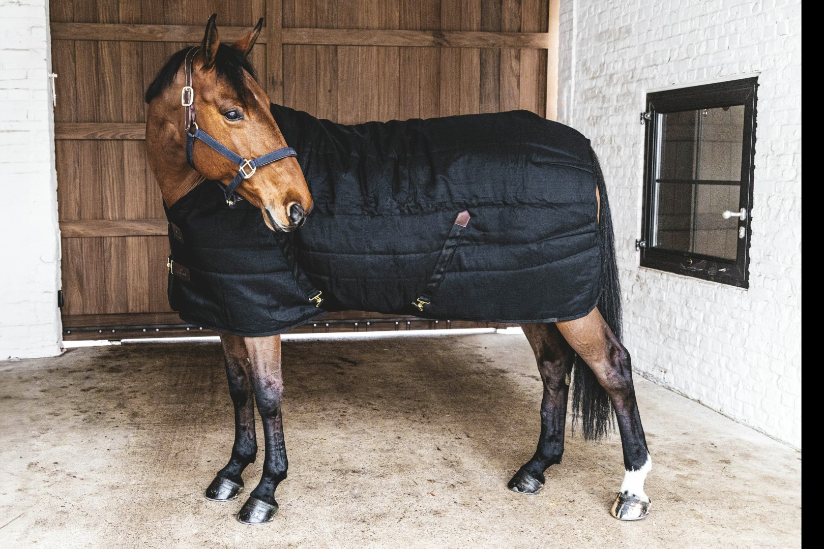 Kentucky Stalldecke Classic 100 g