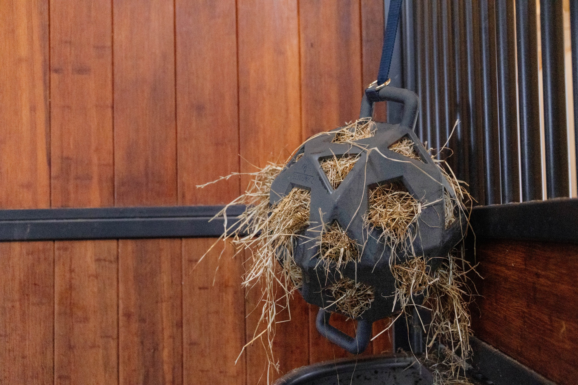 Kentucky Relax Horse Hay & Play Ball