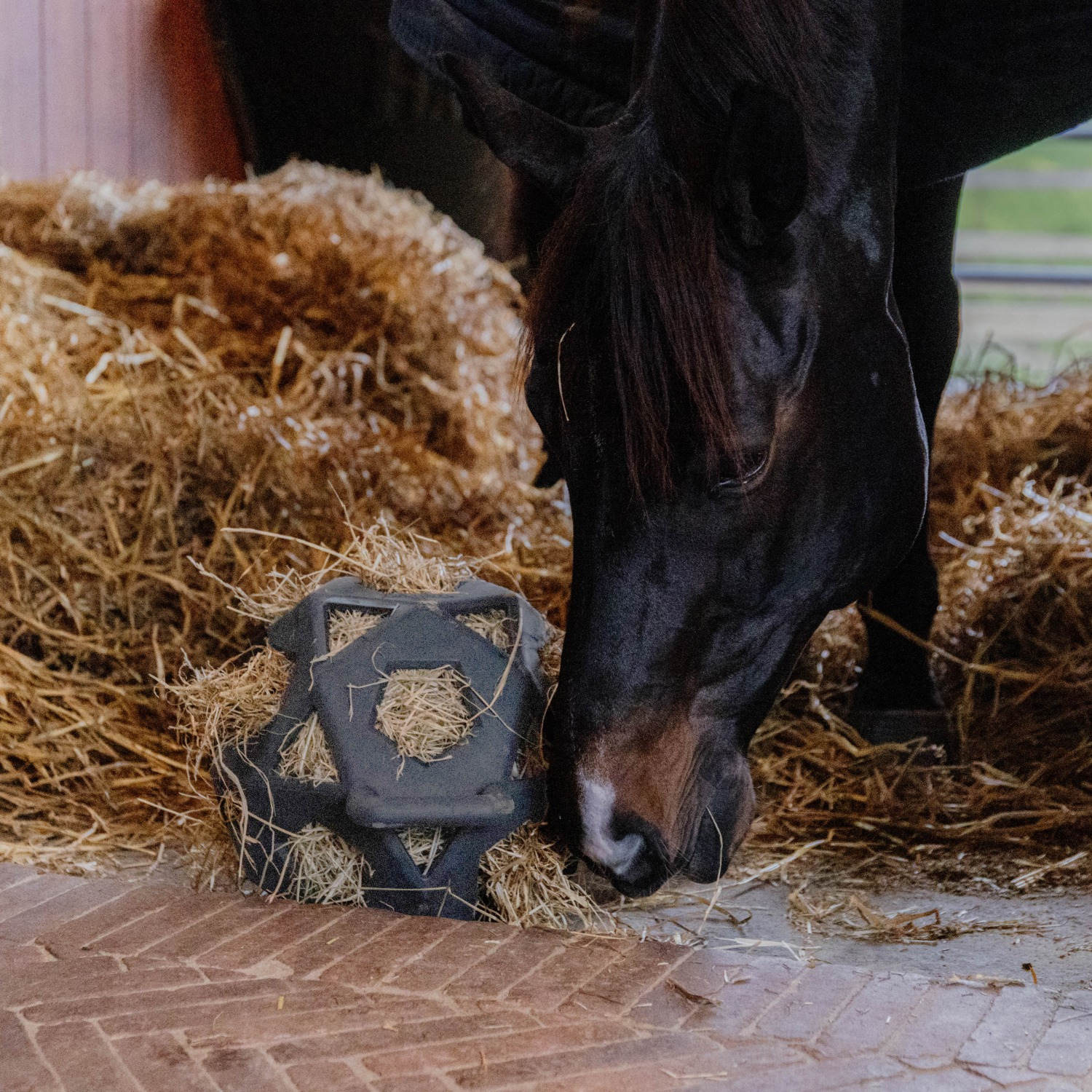Kentucky Relax Pferde Spiel & Heuball