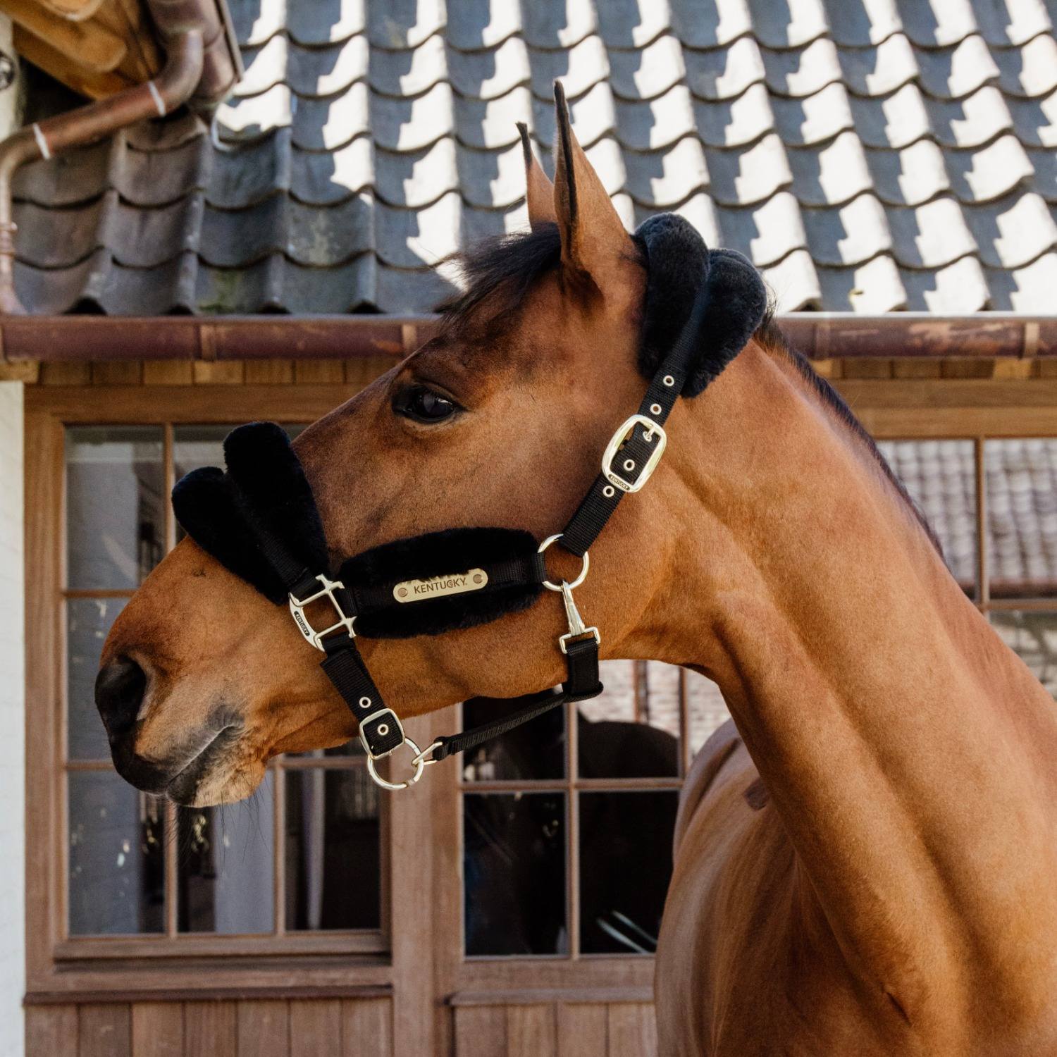 Kentucky Nylon Sheepskin Halter Soft
