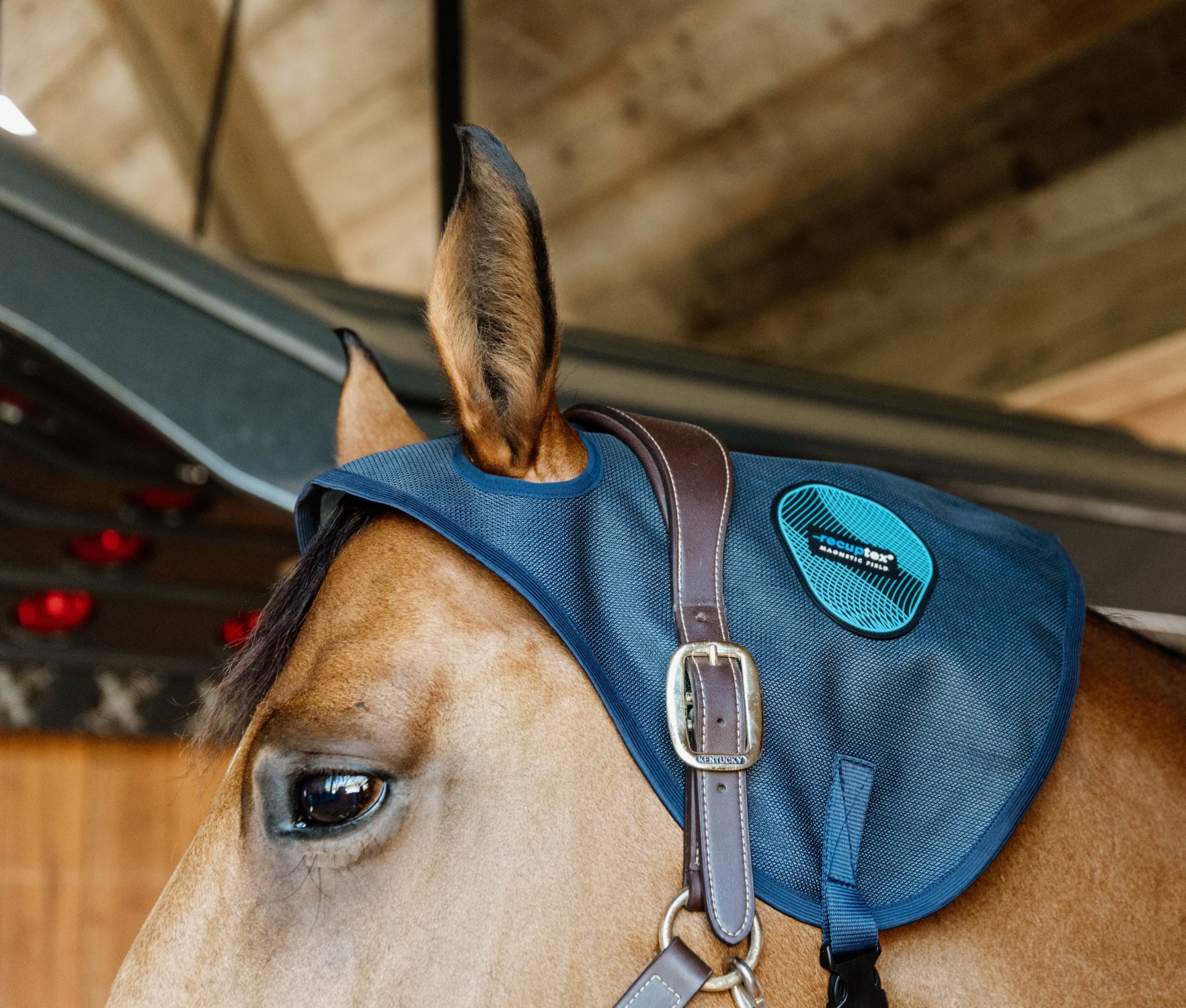 Kentucky Magnetic Recuptex Neck Protector