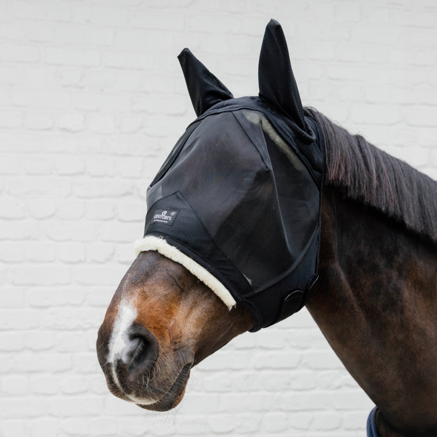 Kentucky Fly Mask Skin Friendly With Ears