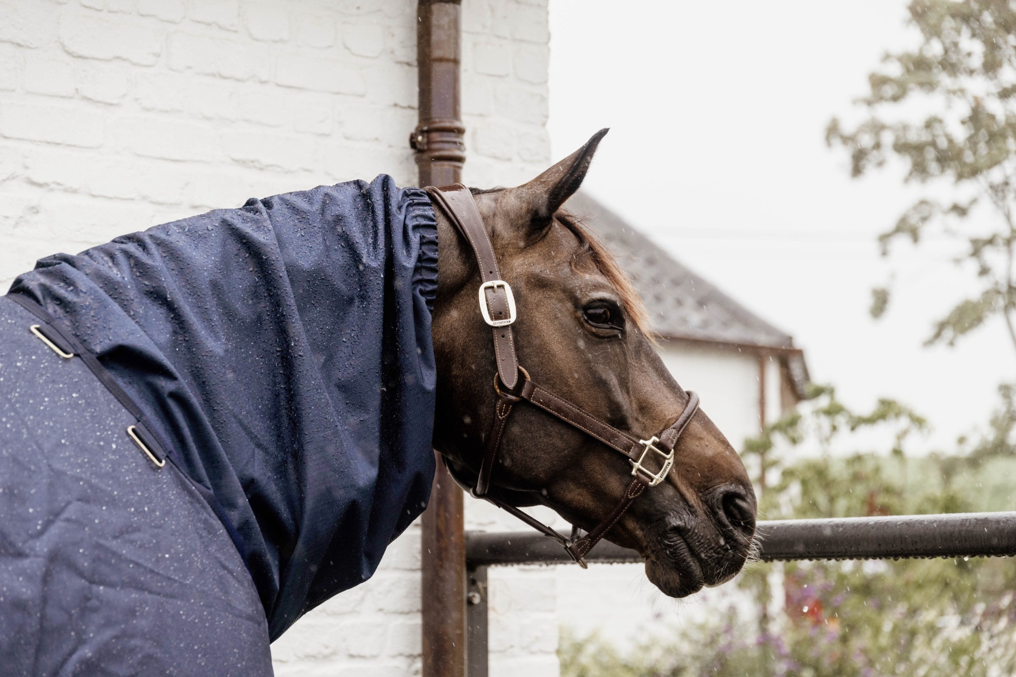 Kentucky Horse Scarf Wasserdicht Classic