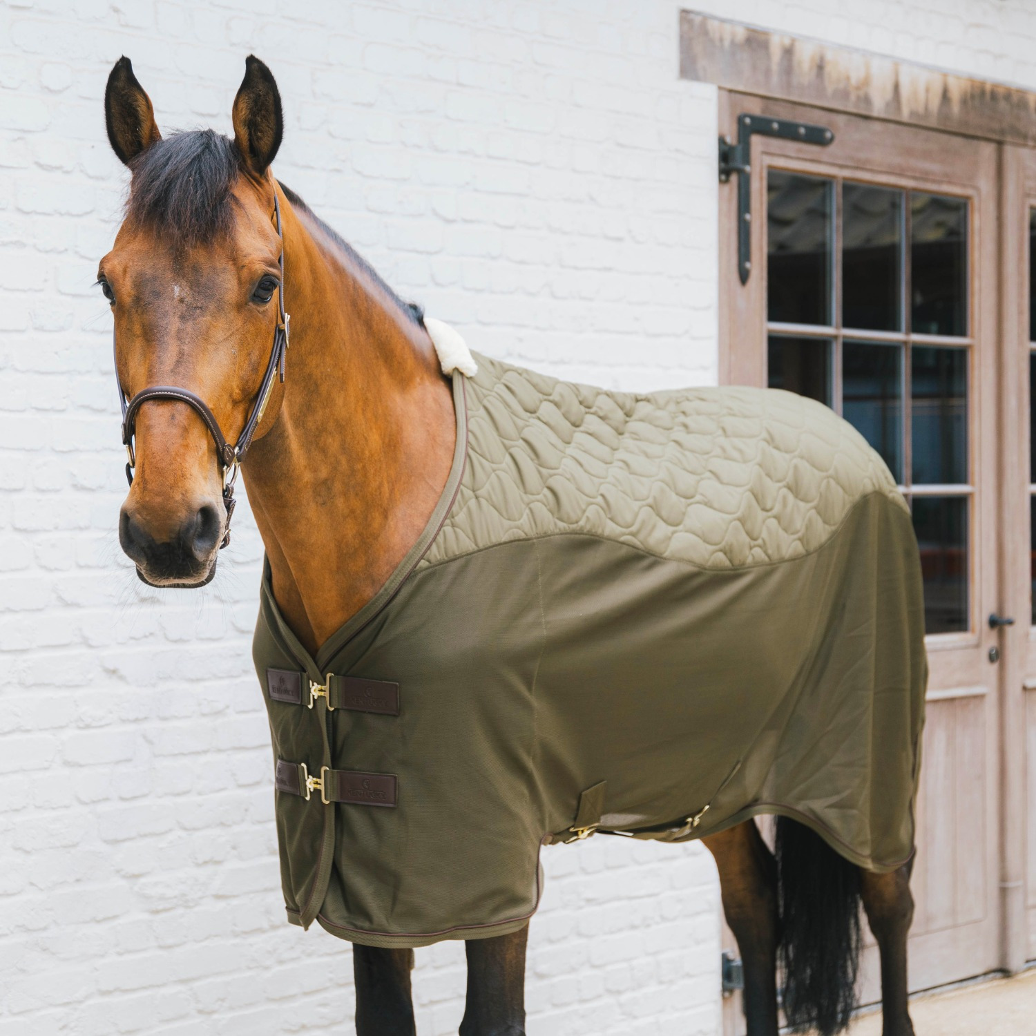 Kentucky Transport Combo Cooler Fleece Rug