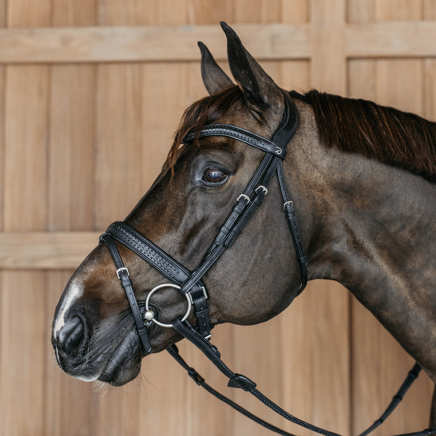 Dyon Geflochtene Trense mit schwedischen Reithalfter New English Collection