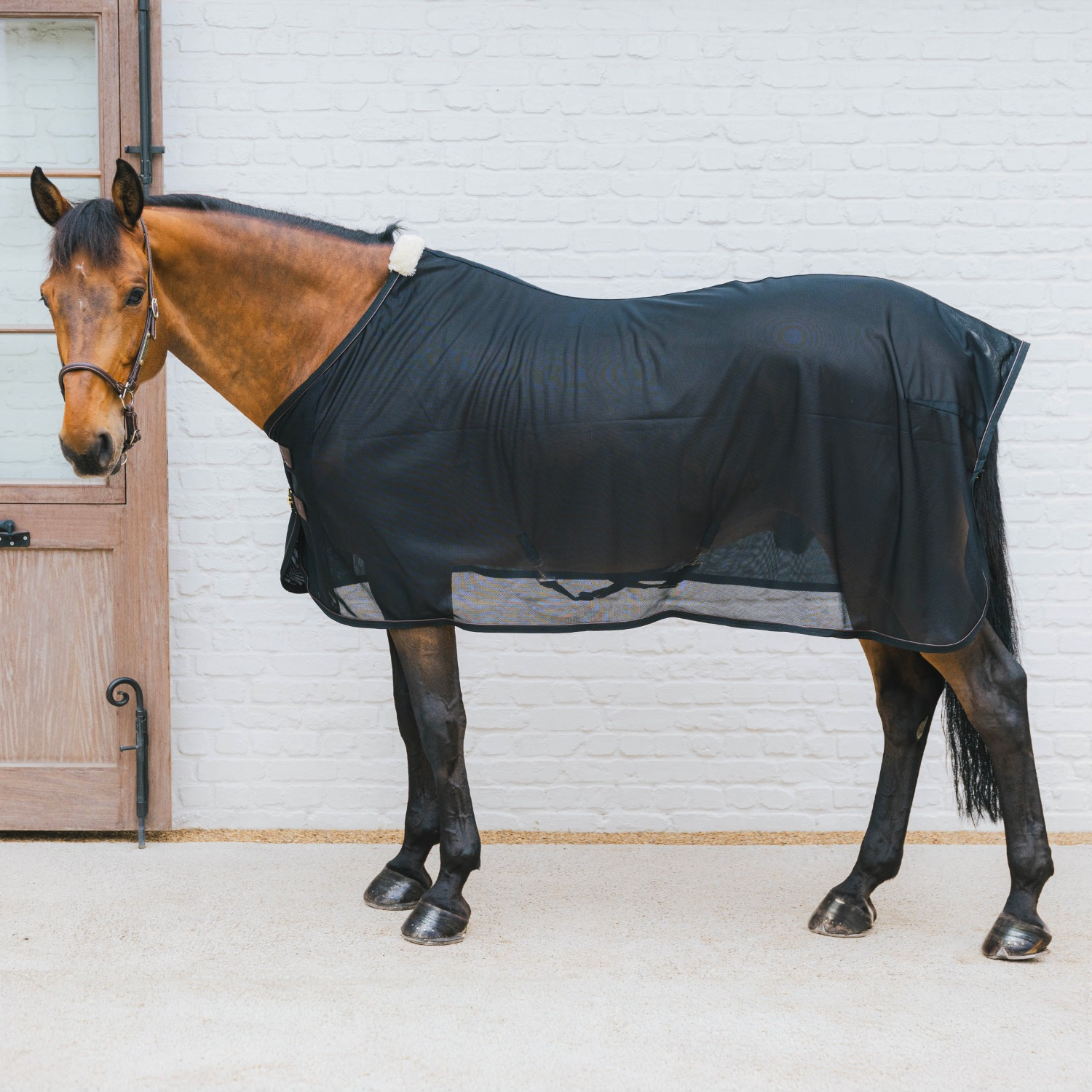 Kentucky Mesh Fly Sheet