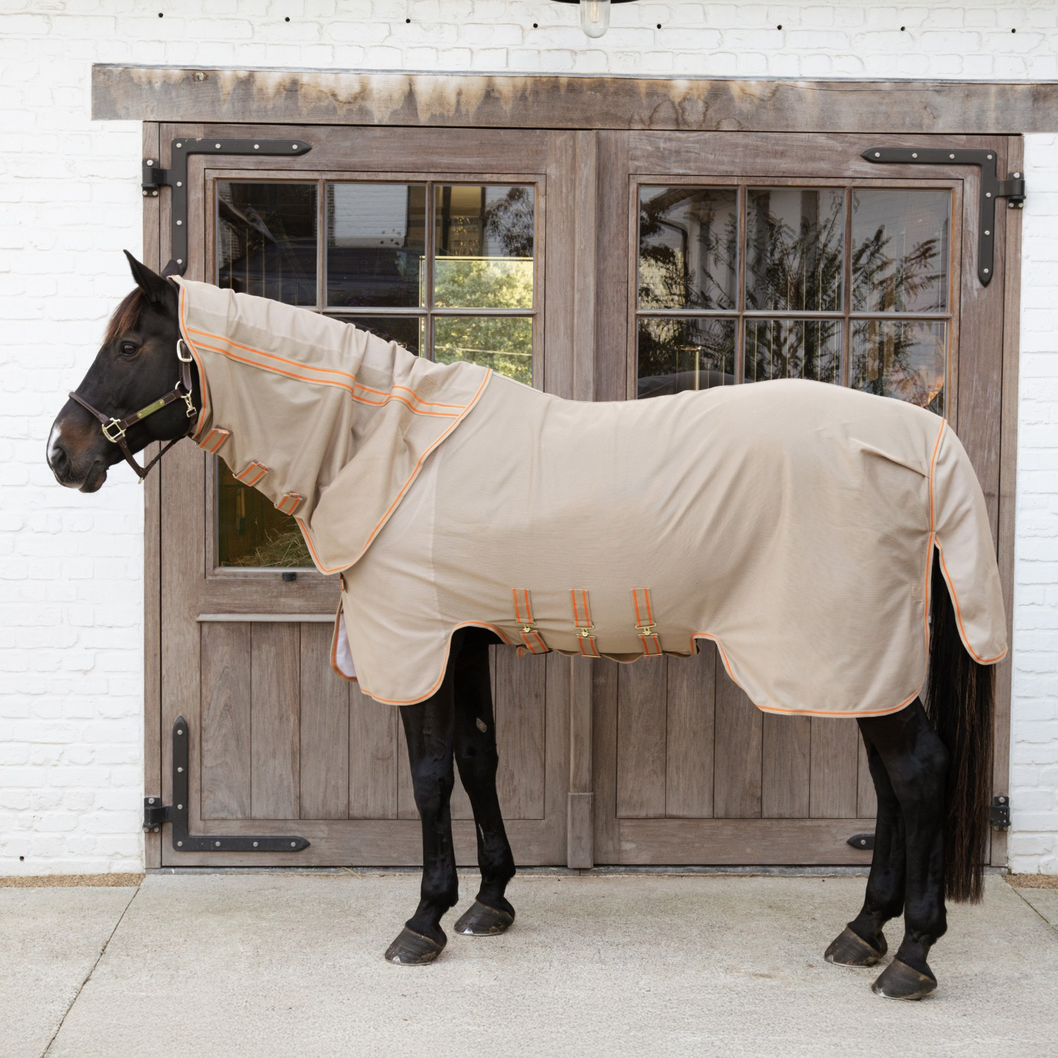 Kentucky Mesh Fly Rug Comfort