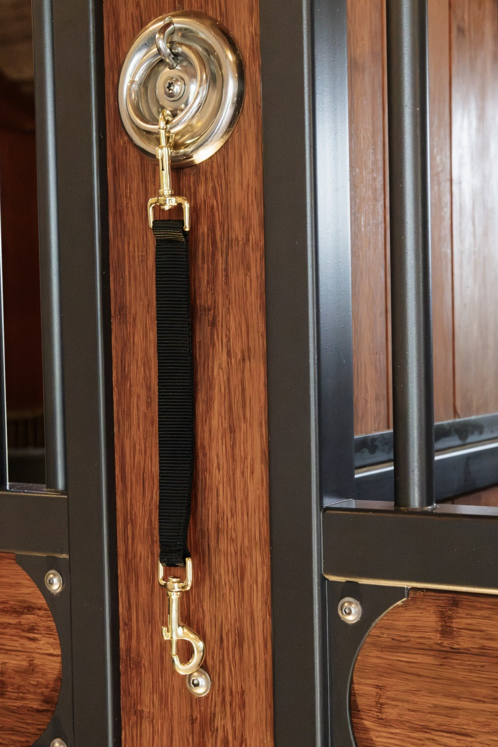 Kentucky Nylon Holder Hook & Hook