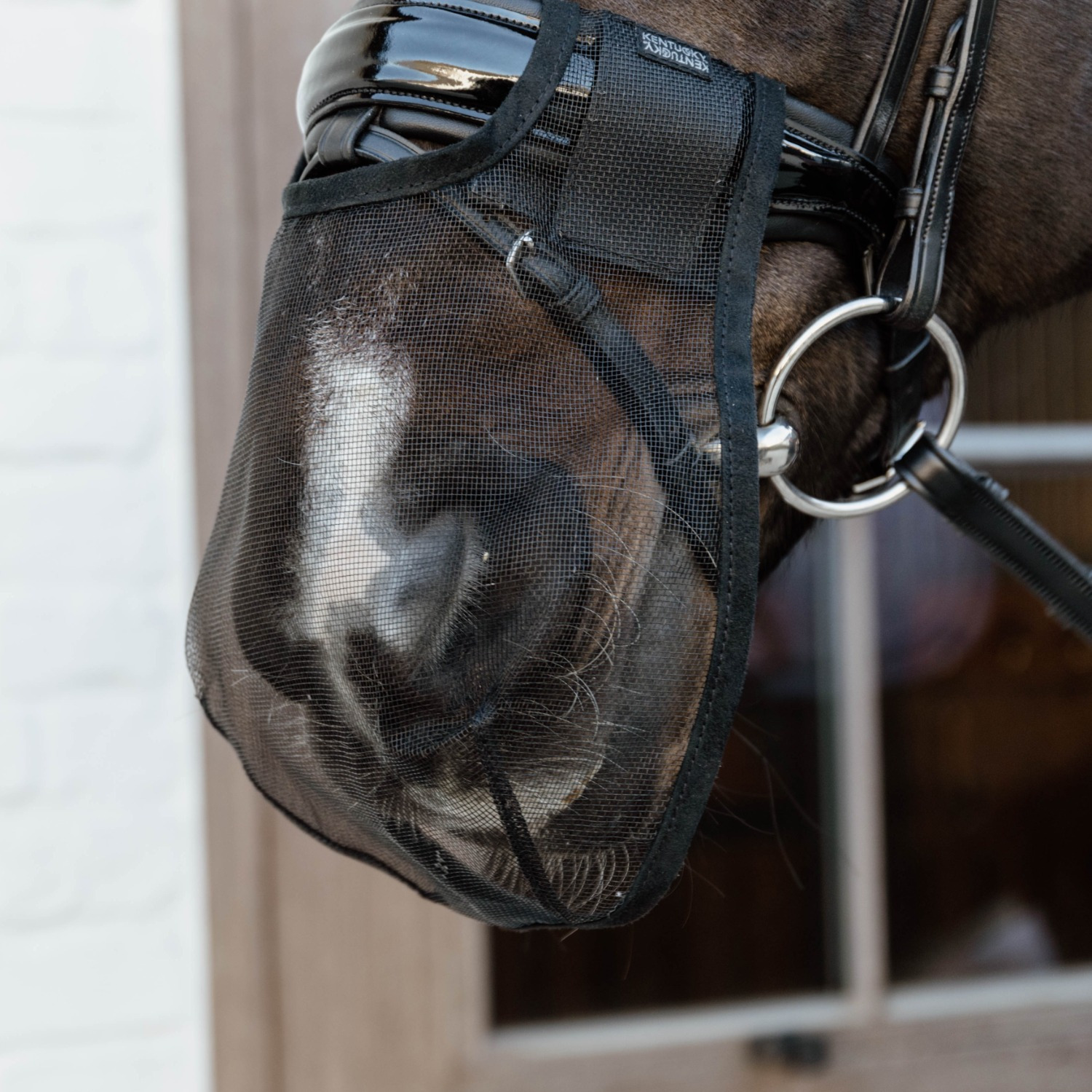 Kentucky Anti-Fly Nose Net