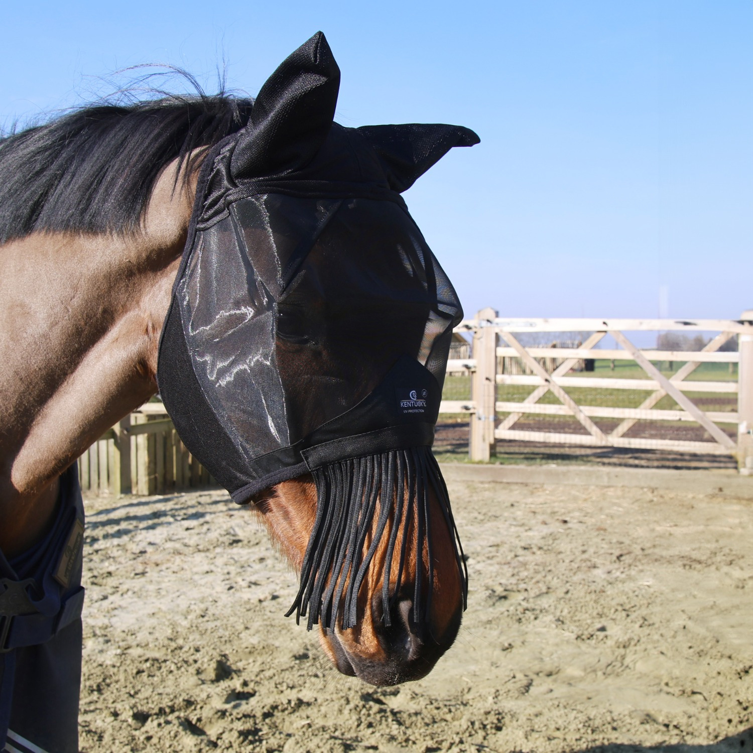 Kentucky Fly Mask Classic with Ears and Nose Fringes