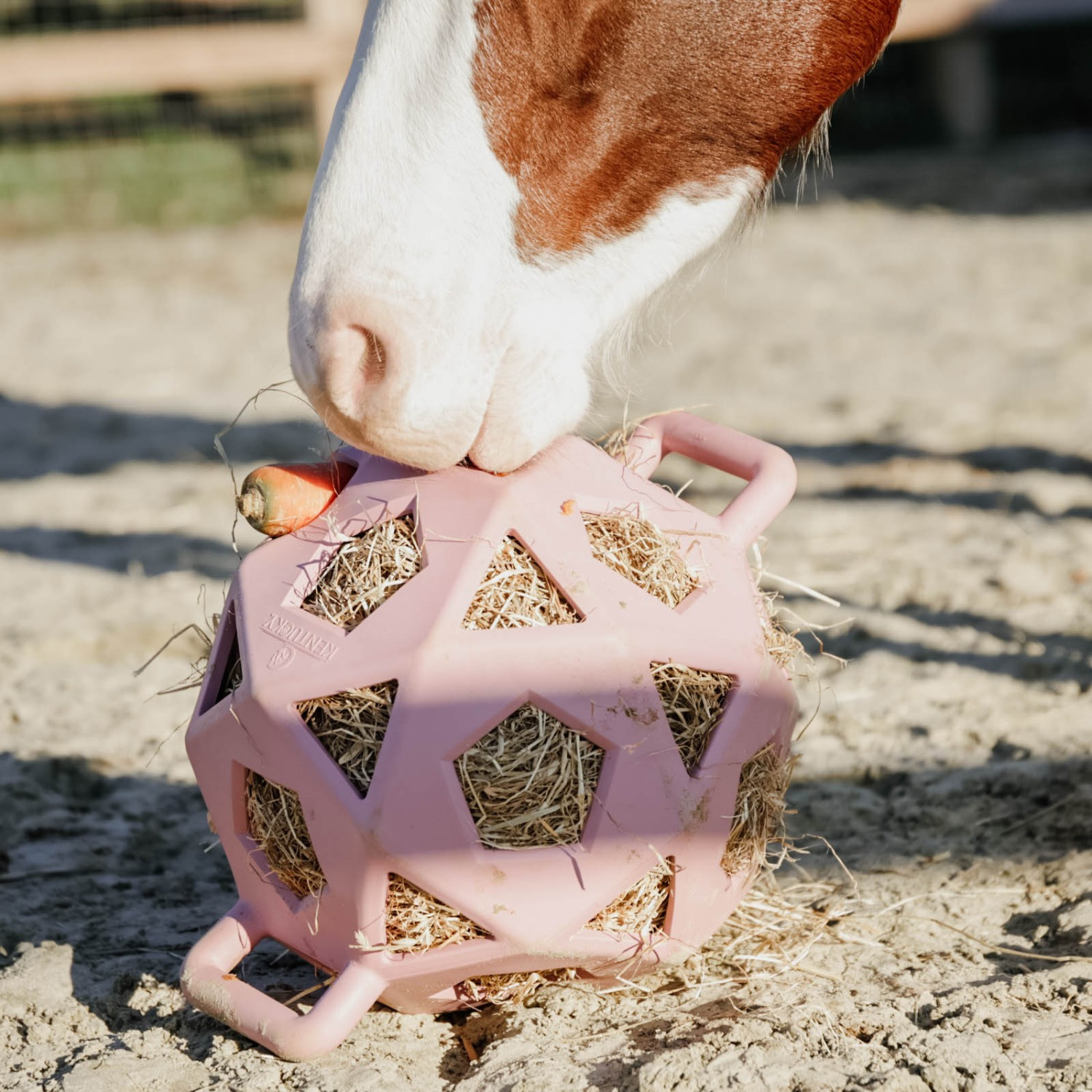 Kentucky Relax Horse Hay & Play Ball