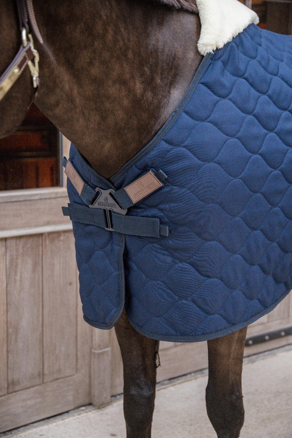 Kentucky Stable Rug Comfort 100g