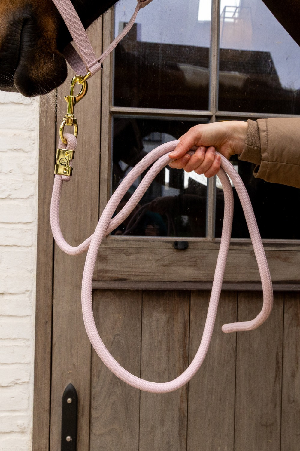 Kentucky Lead Rope Basic
