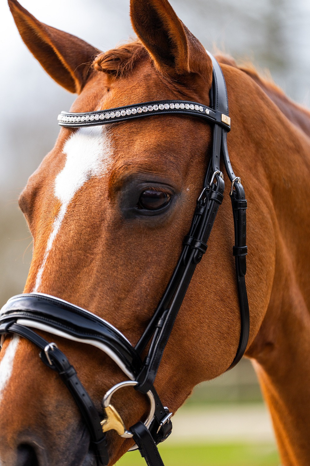 BR Hailsham Bridle