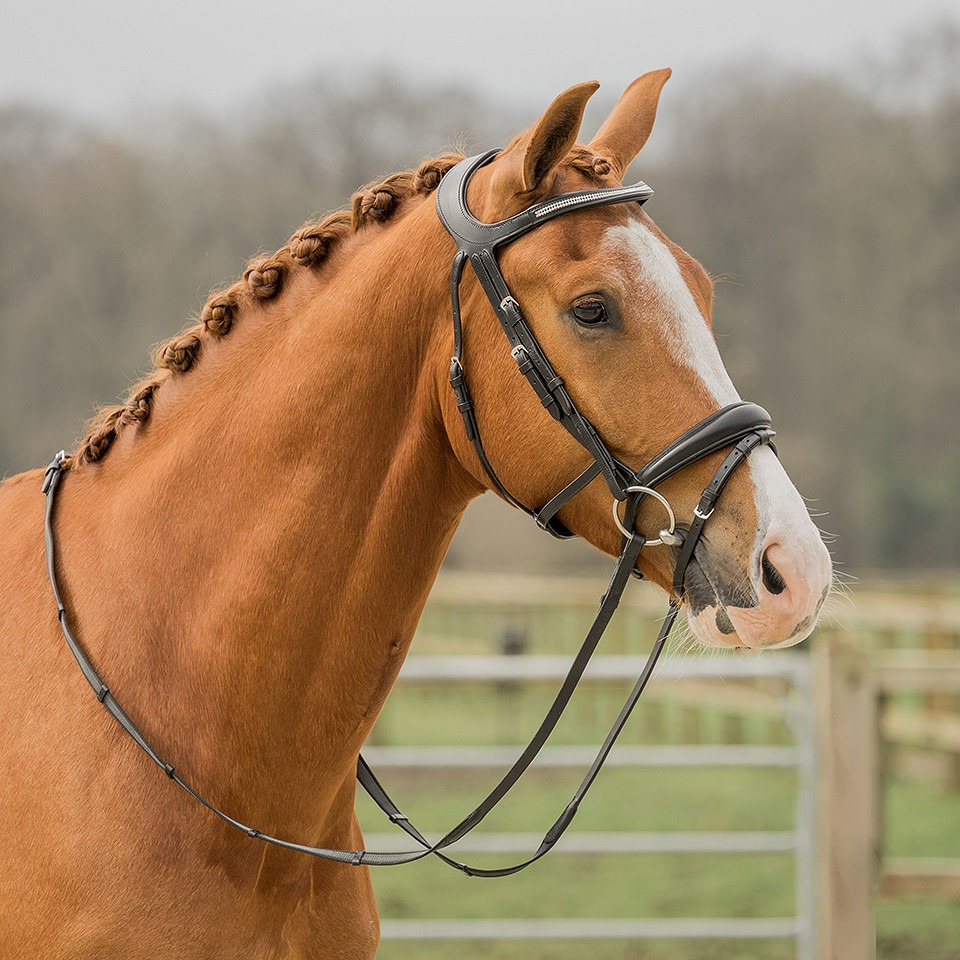 Horka Crown Bridle