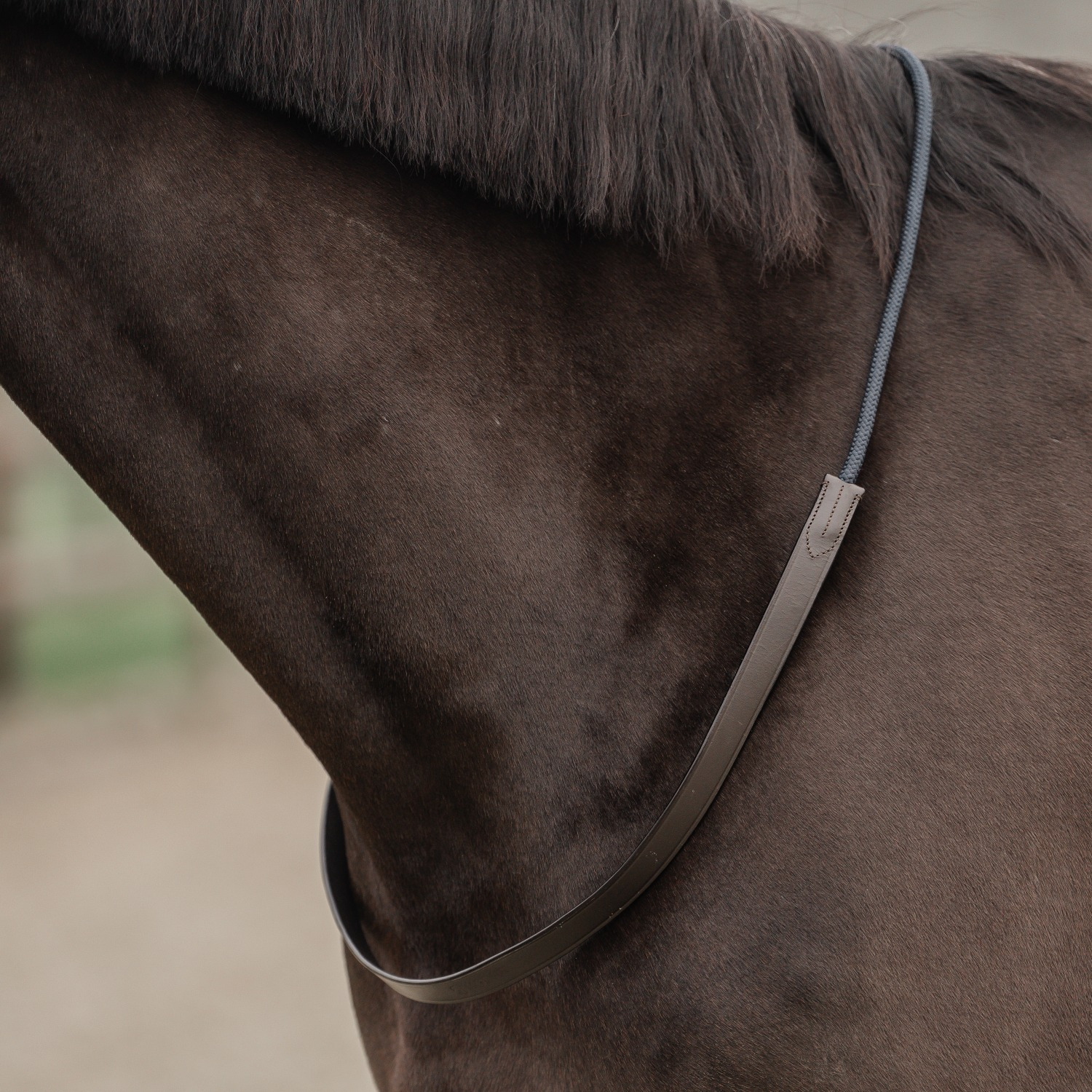 Horka Neckrope Half Leather/Half Rope