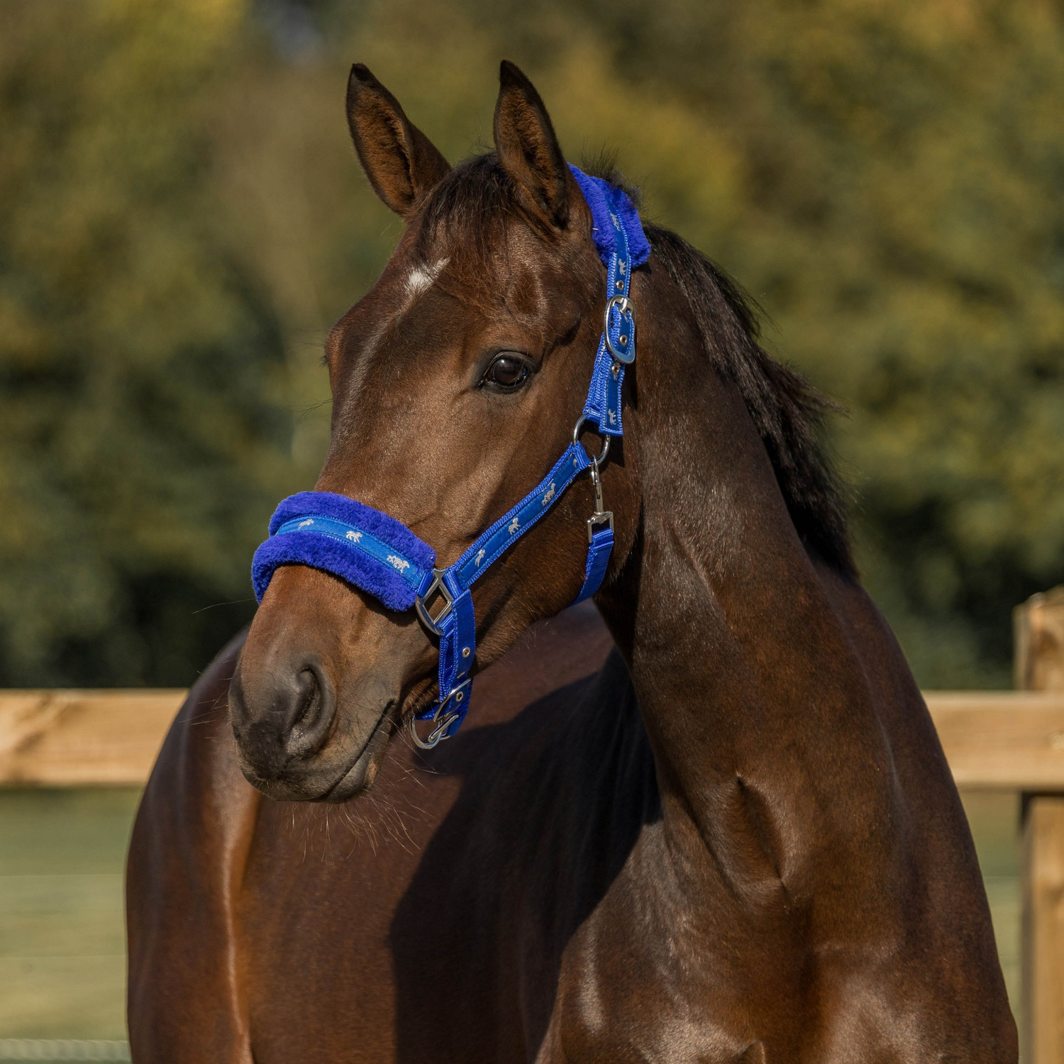Horka Plush Halter