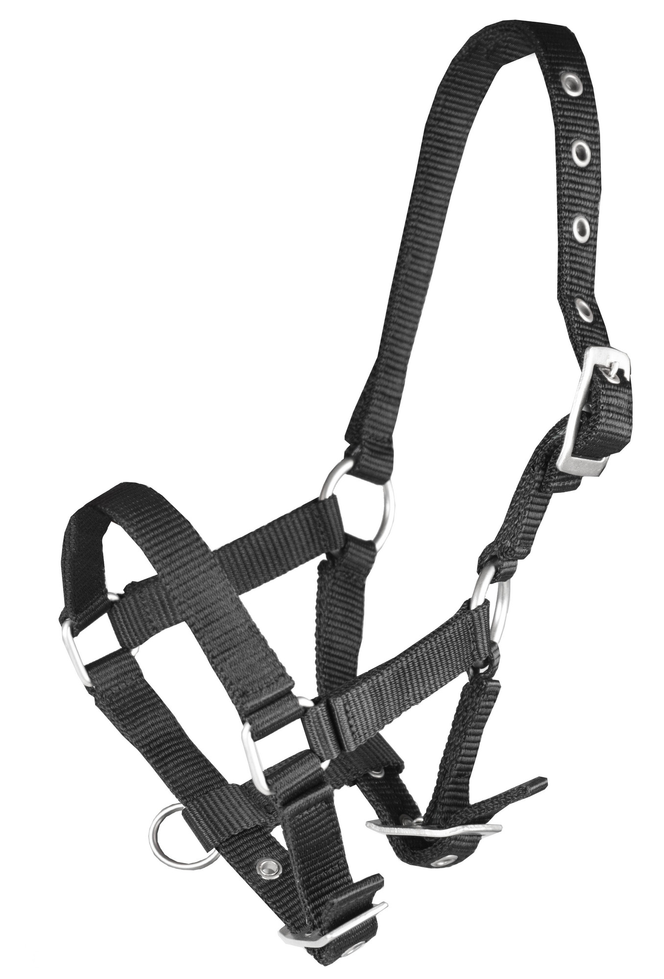 Horka Basic Foal Halter