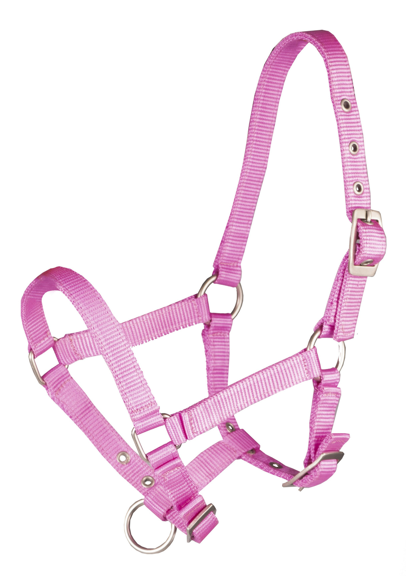 Horka Basic Foal Halter