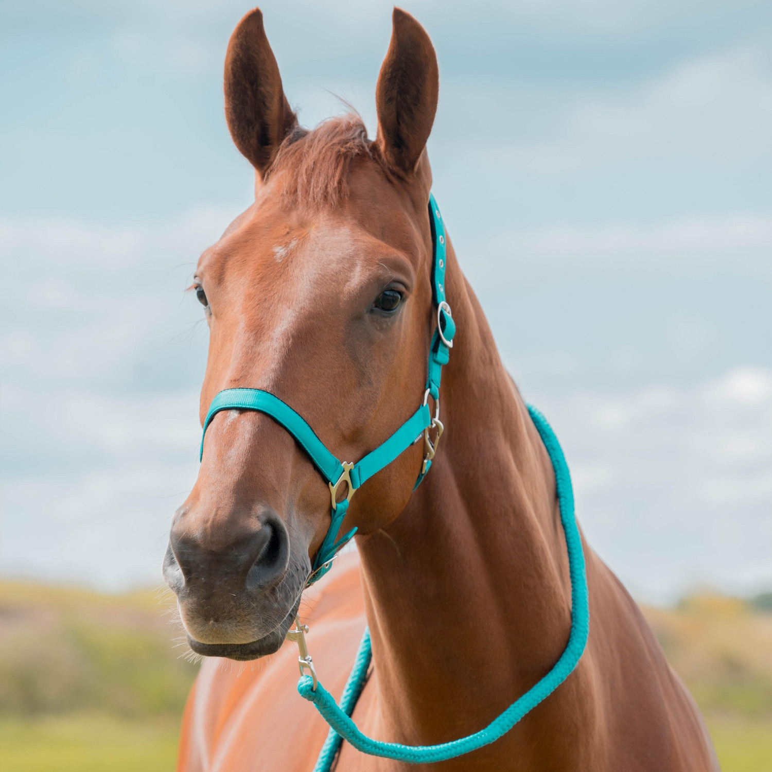 Horka Halter Set Dime