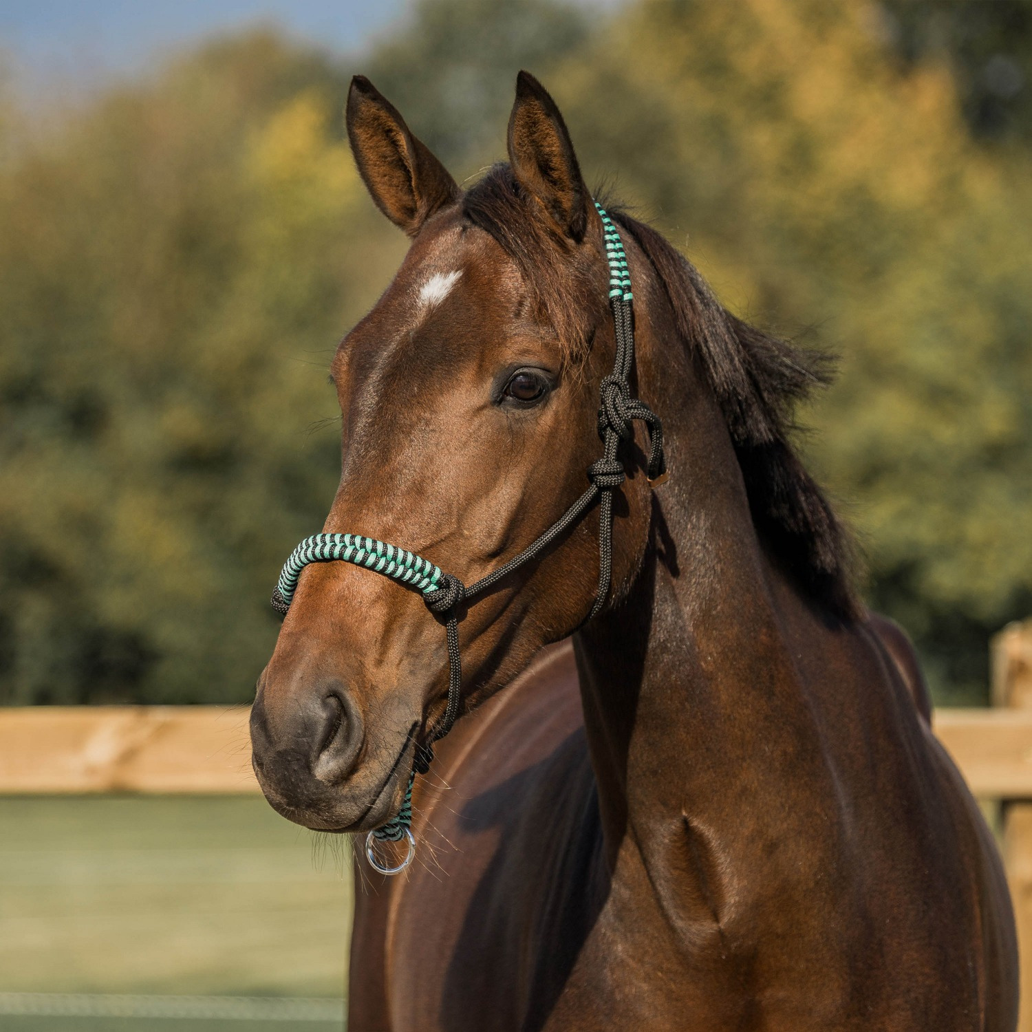 Horka Rope Halter