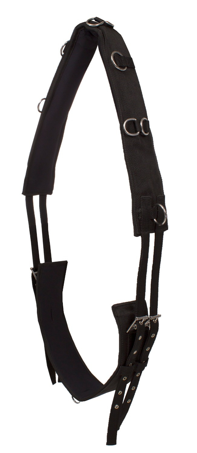 Horka Lunging Surcingle with Wither Pads