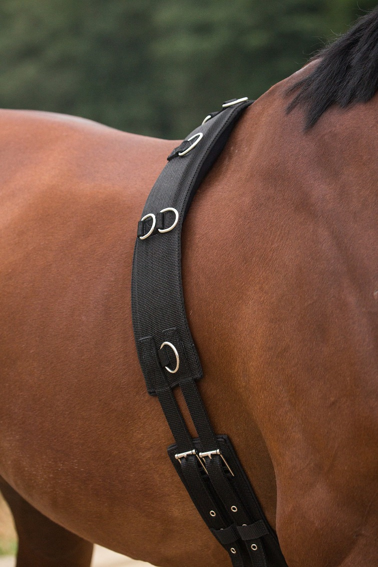 Horka Lunging Surcingle with Wither Pads