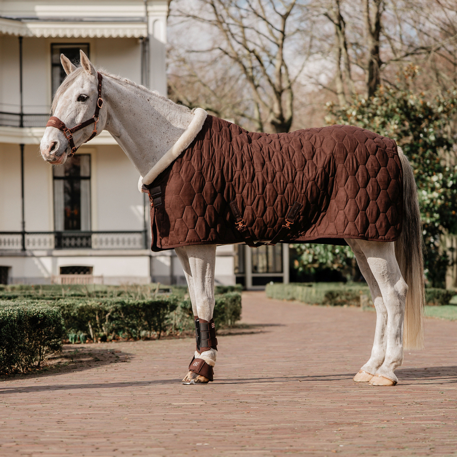 Horka Velvet Show Rug