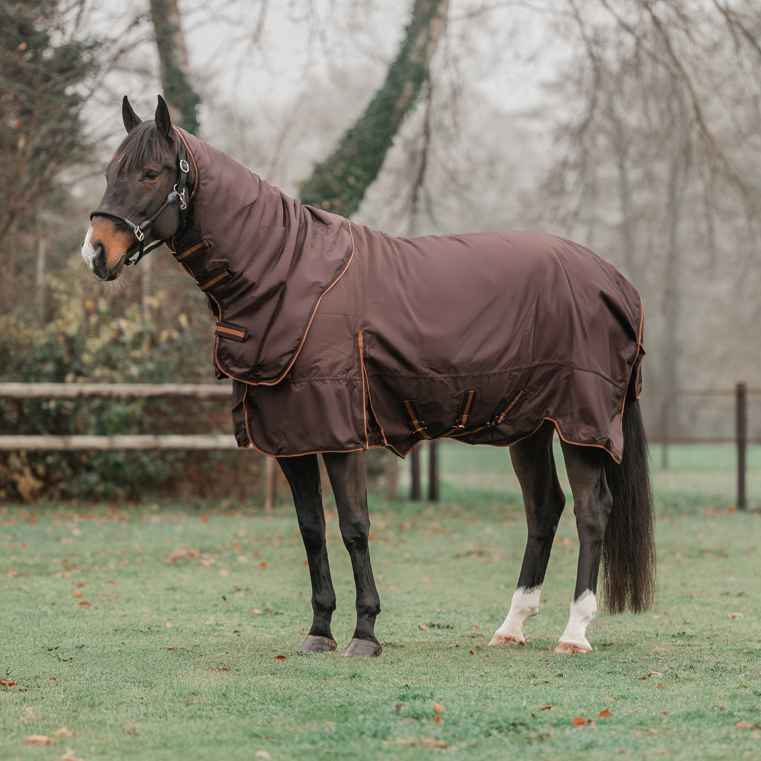 Horka Frida Turnout Rug