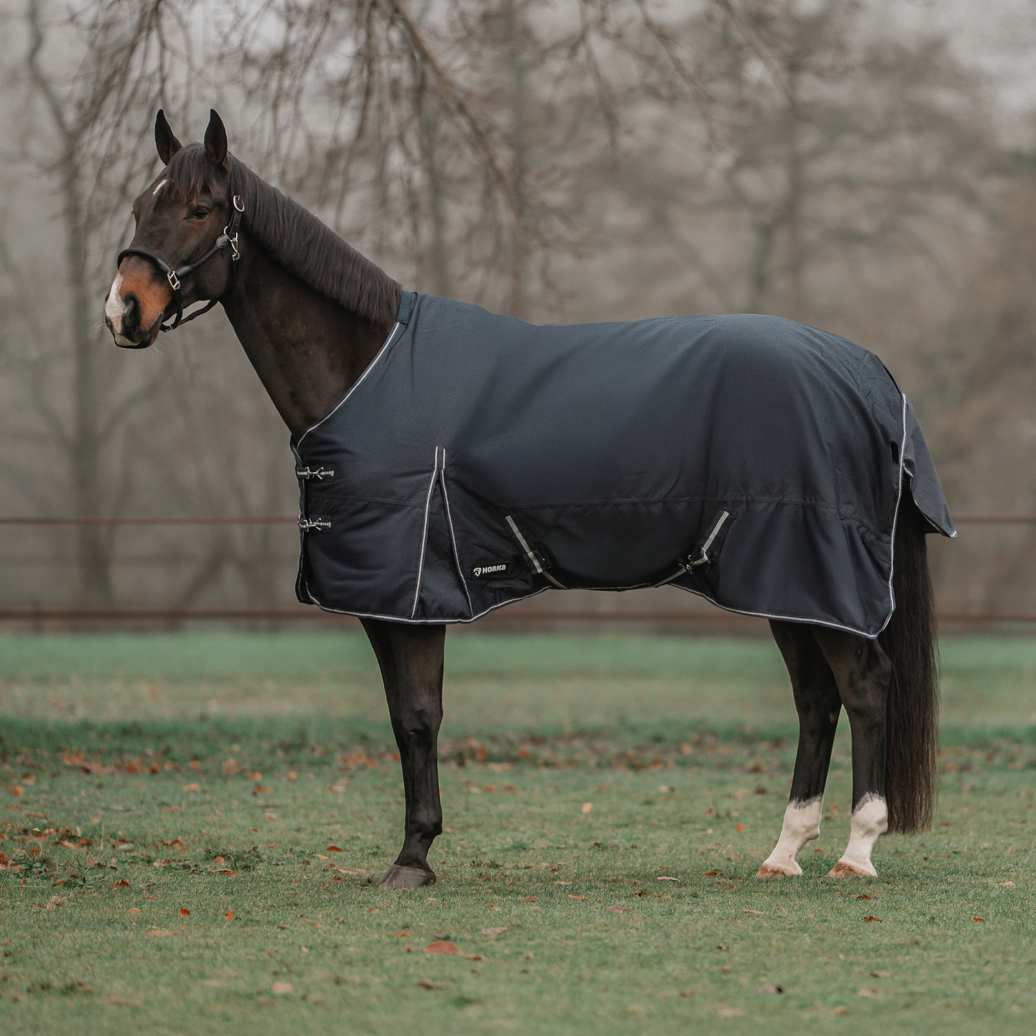 Horka Thora Turnout Rug, 600D, 200 GSM