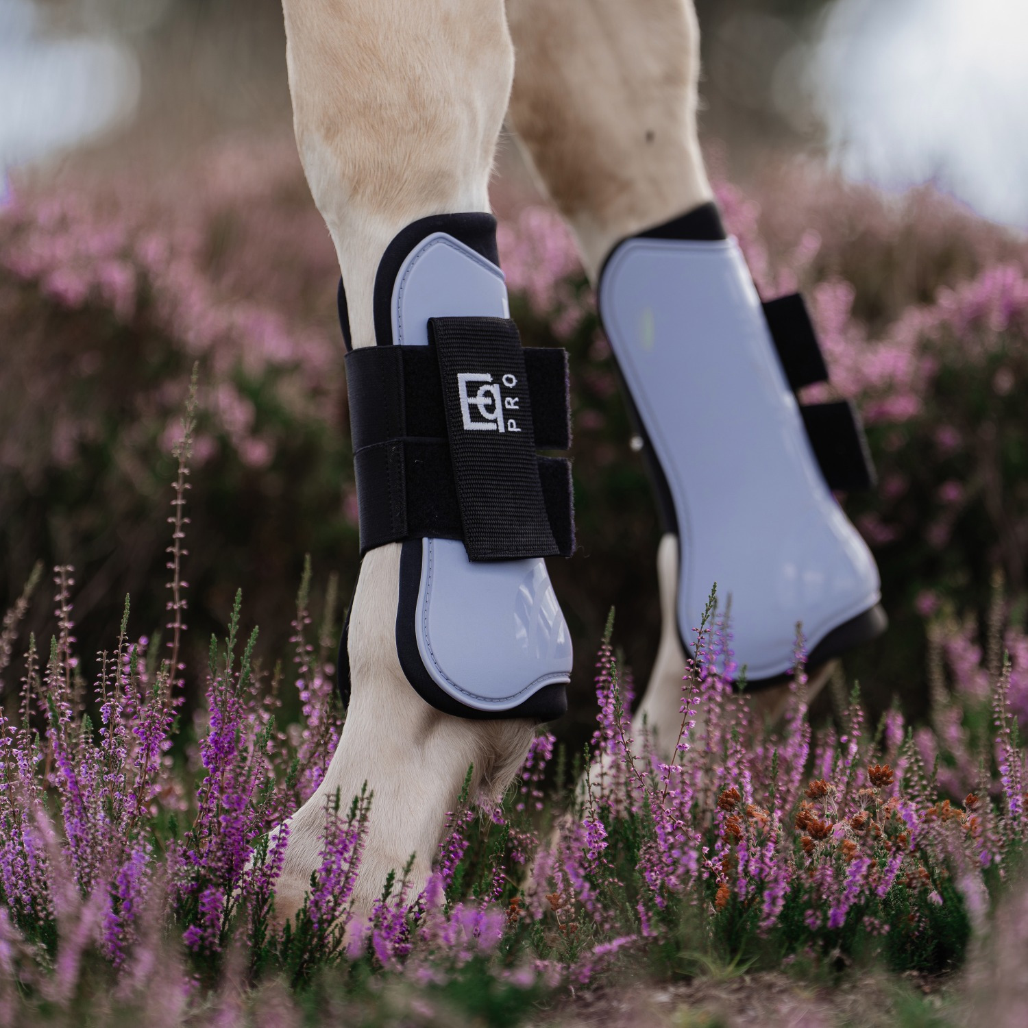 EQPRO SS26 PVC Peesbeschermers Equestrian Pro