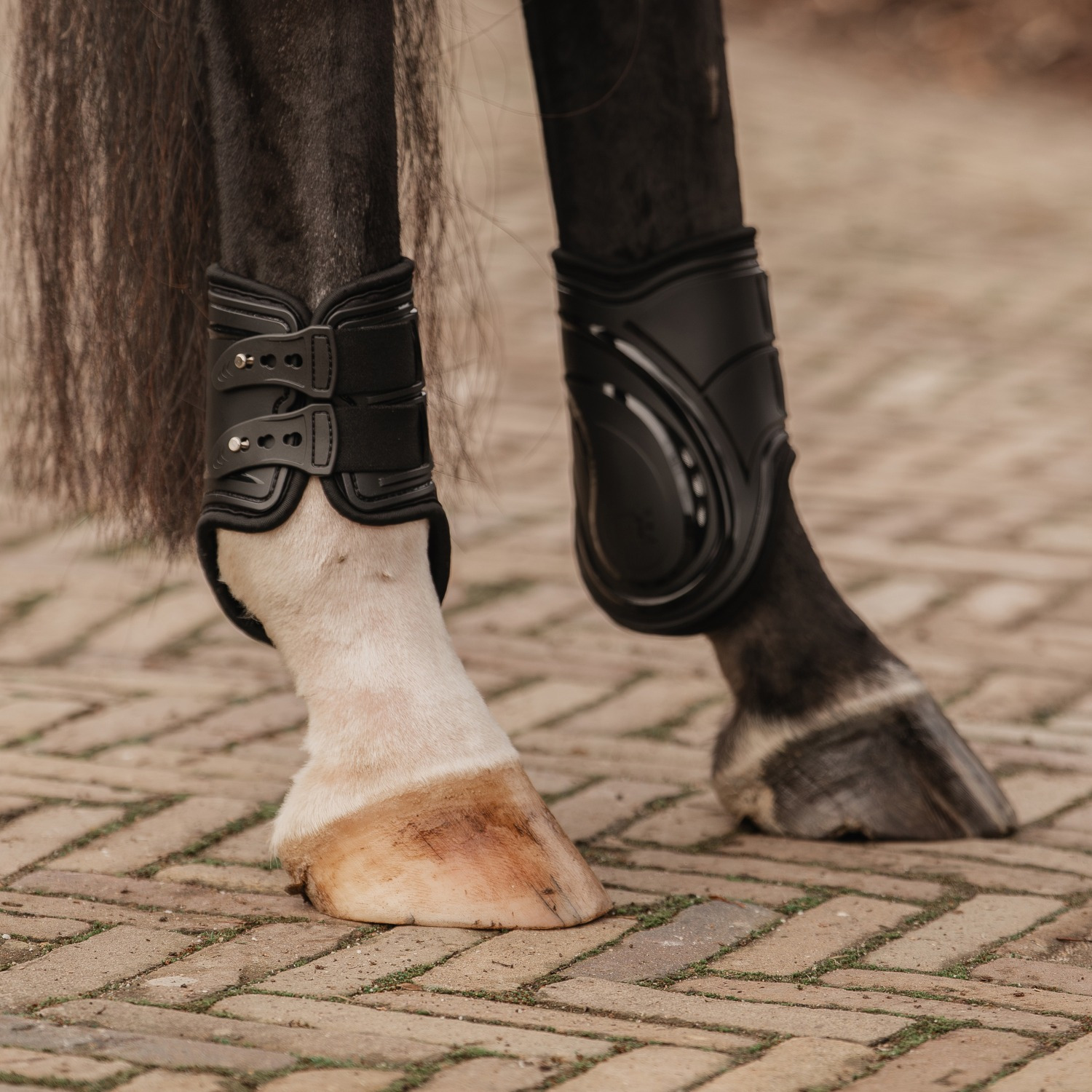 Horka Fetlock Boots Carbon Look