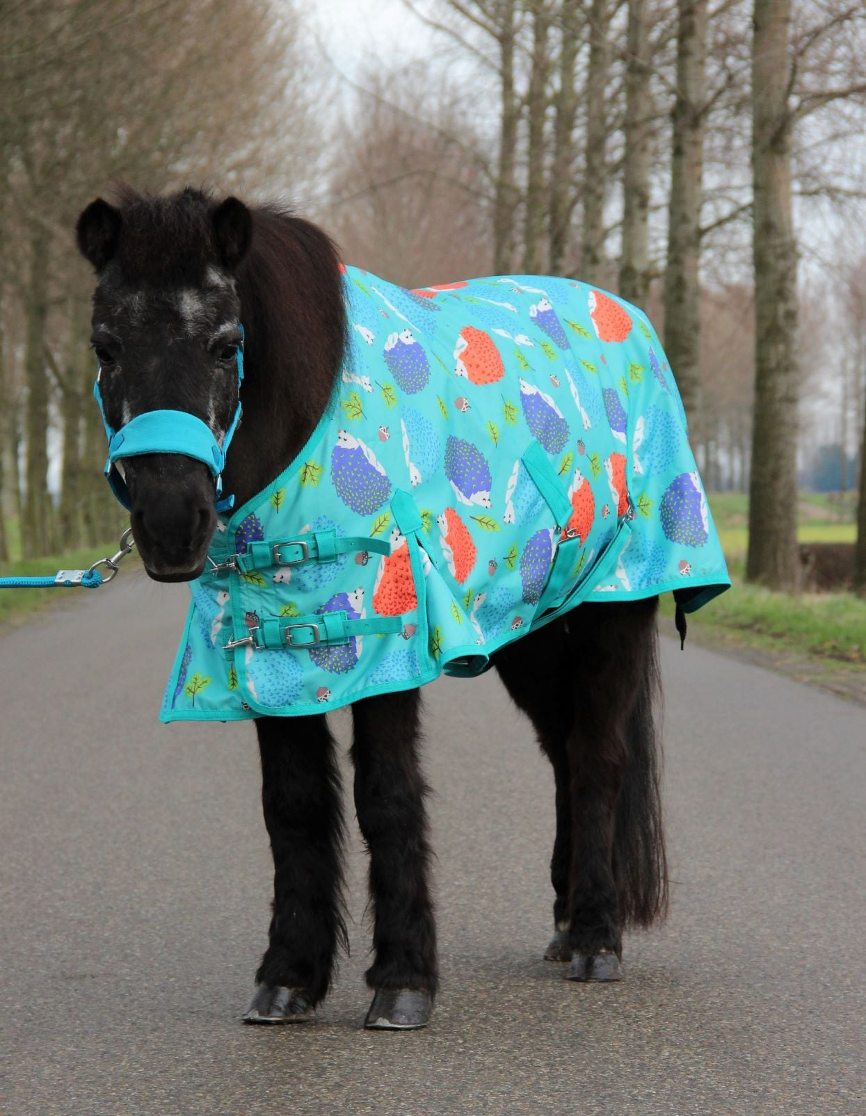 HB Harry and Hector Pony Turnout Rug Hedgehog Fleece