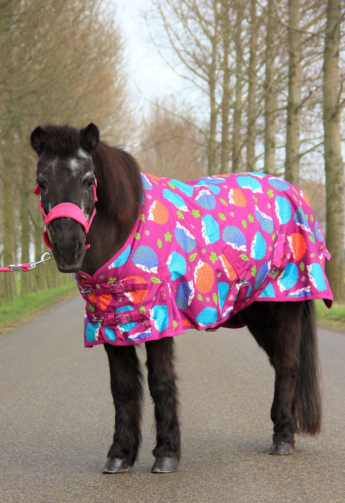 HB Harry and Hector Pony Turnout Rug Hedgehog Fleece