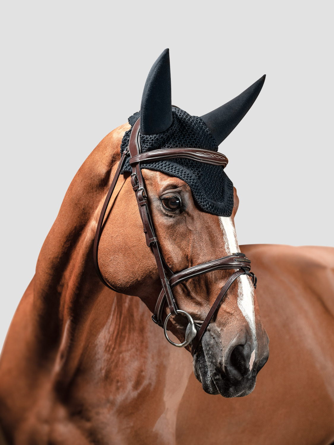 Equiline Oornetje Sound Proof Dave