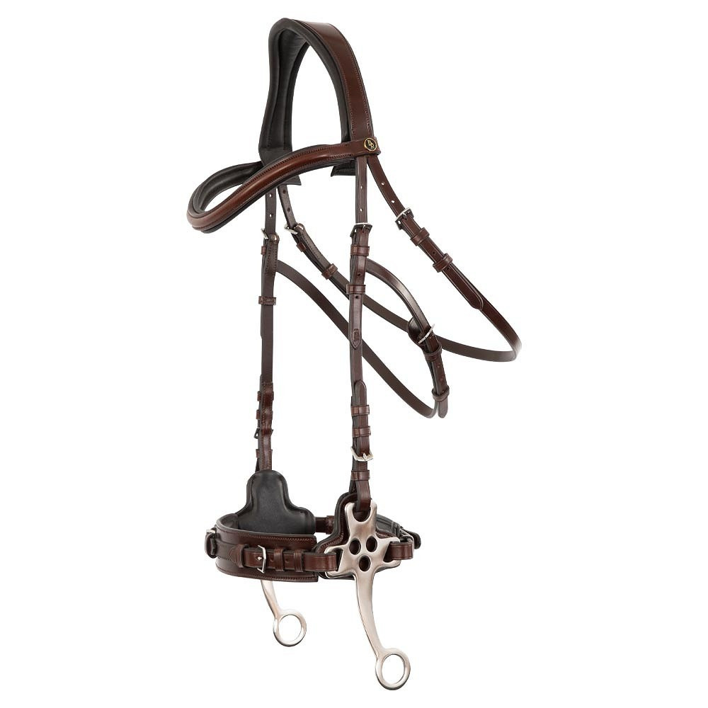 BR Hackamore Bridle Lydney