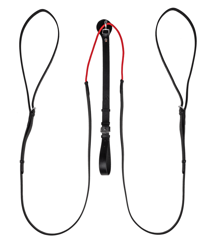 Waldhausen Training Aid W-trainRein