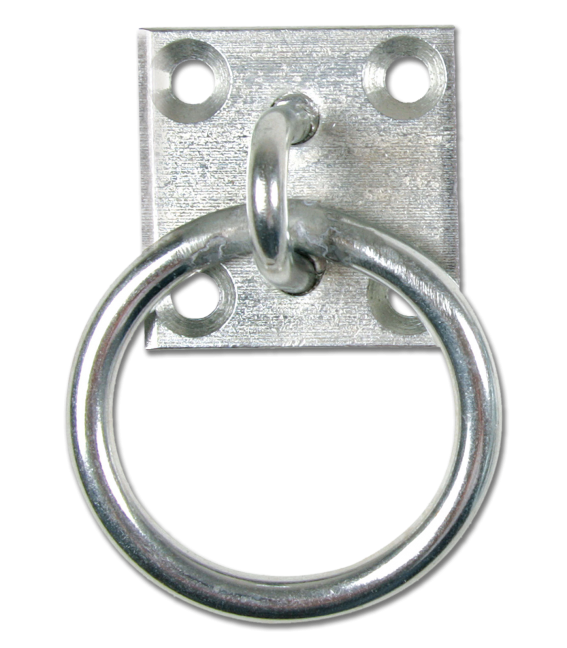Waldhausen Tie Ring with wall plate