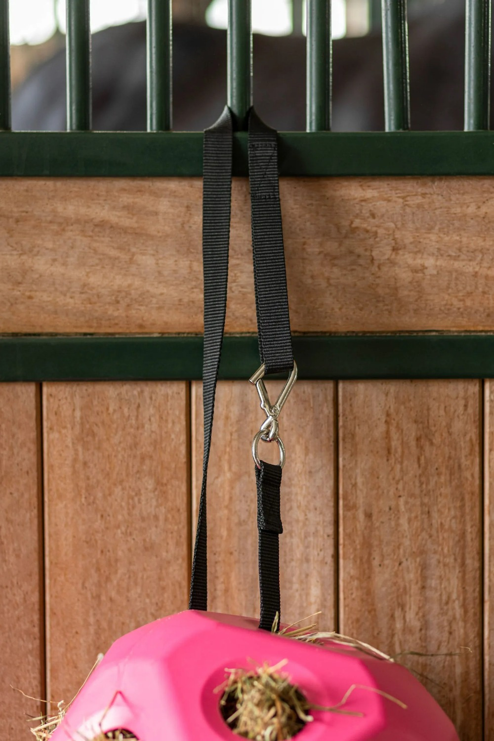 Covalliero Multifunctional Belt