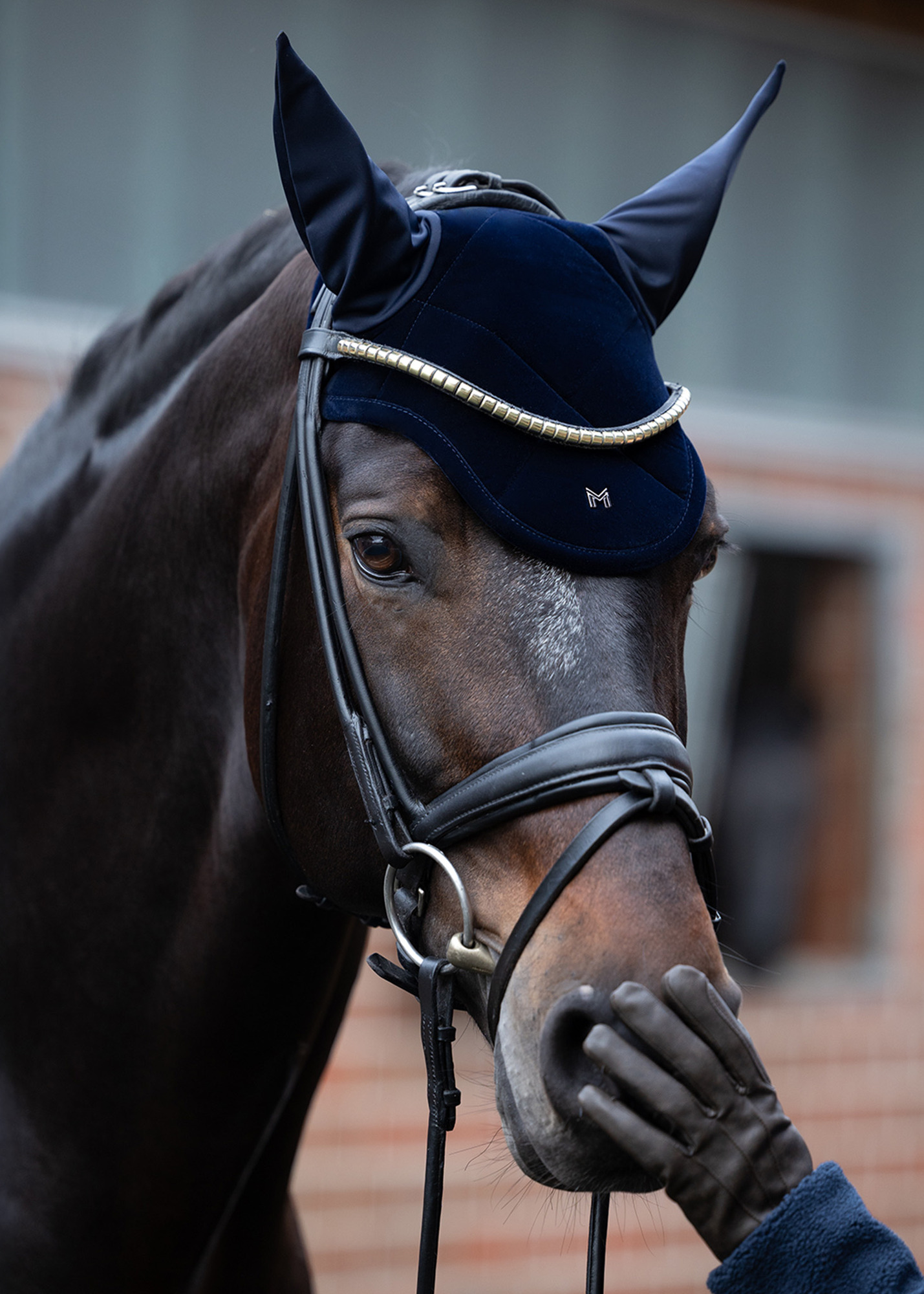 Maximilian Equestrian Velvet Oornetje
