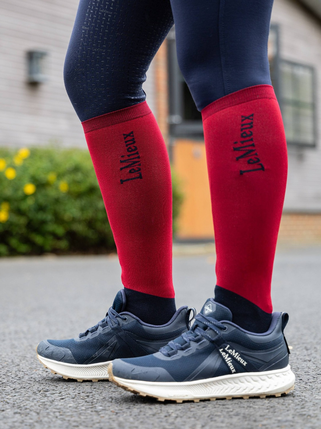 LeMieux Competition Socks