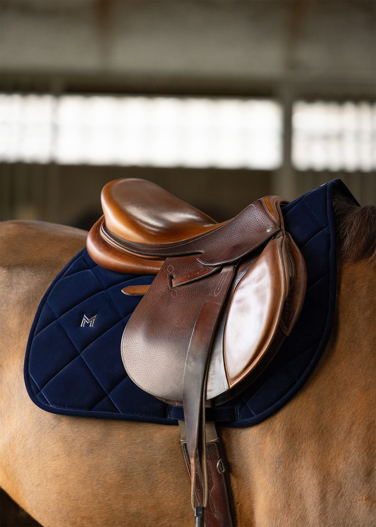 Maximilian Equestrian Velvet Dekje Springen