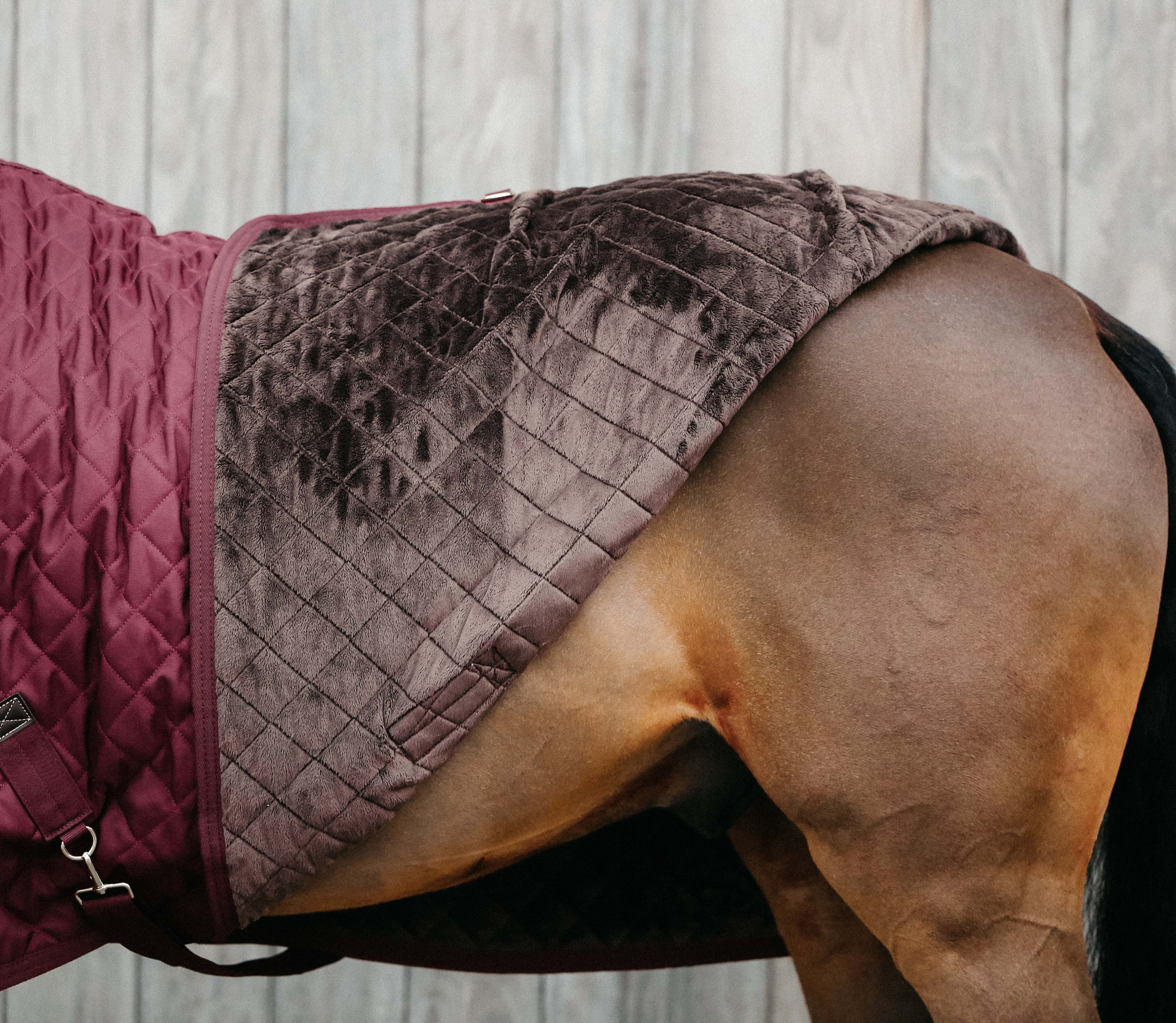 Kentucky Show Rug 160g Bordeaux