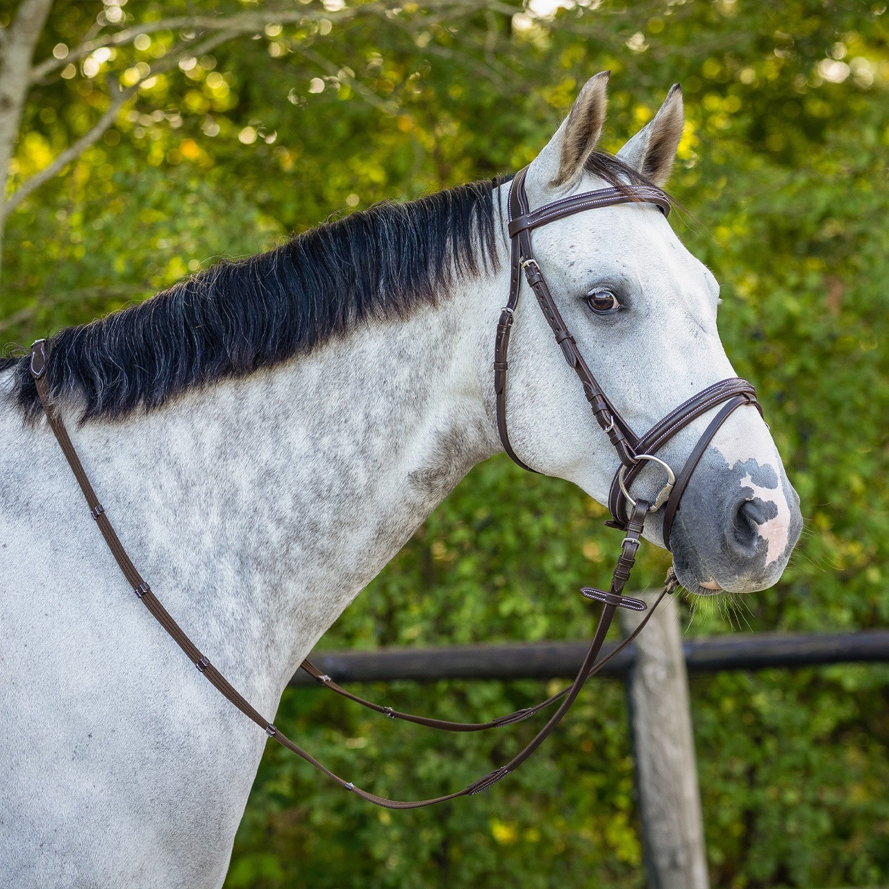 QHP Hoofdstel luxe stiksel