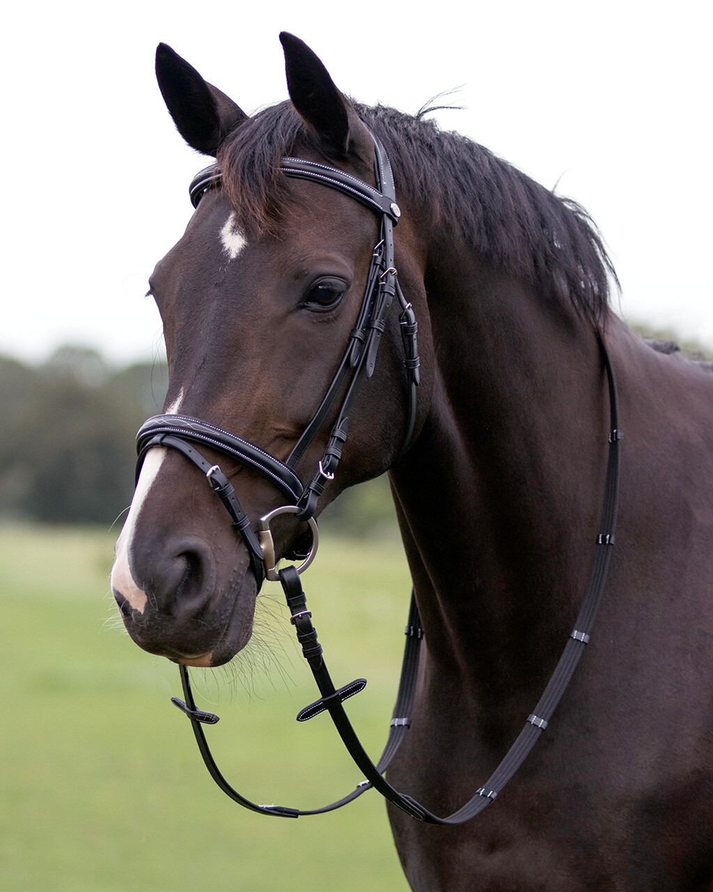 QHP Bridle luxury stitched