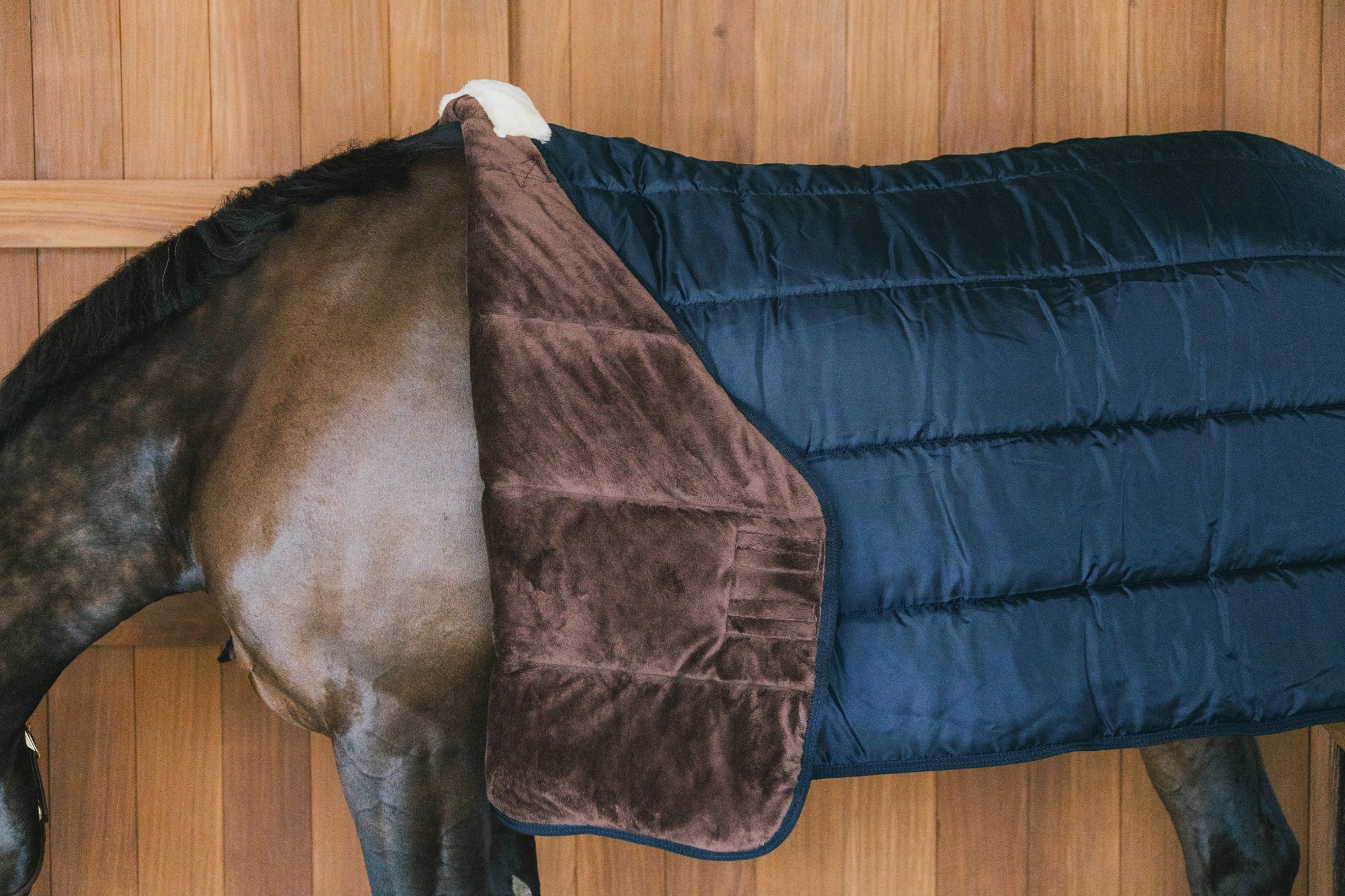 Kentucky Turnout Rug Comfort Liner Pro