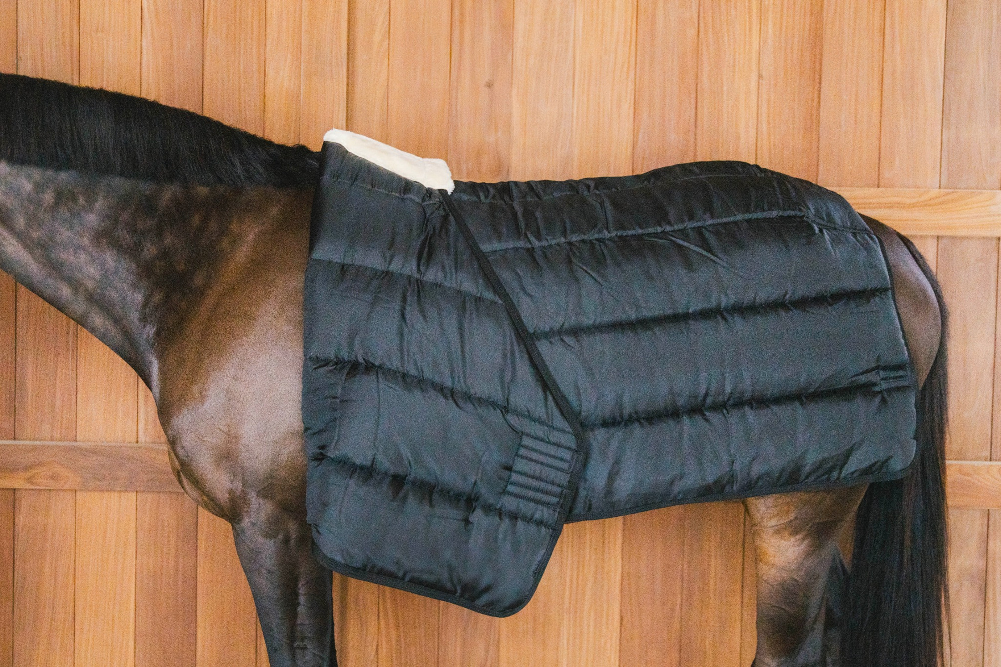 Kentucky Turnout Rug Comfort Liner