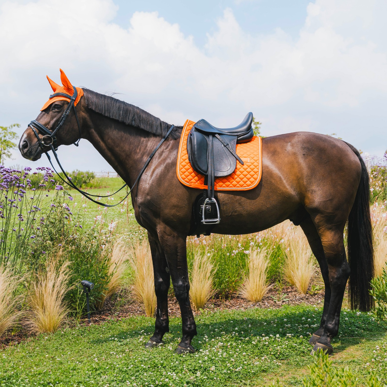 Kentucky Diamond Rope Dressur Schabracke